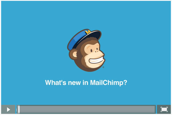 Mail-Chimp-Video.jpg